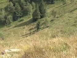 VIEW OF HILL SLOPE Stock Footage