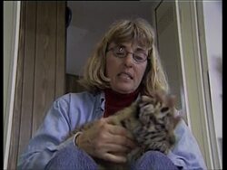 Rescue operation for newborn tigers, other animals News Clip
