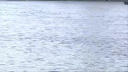 River Thames, London Eye and Parliament News Clip