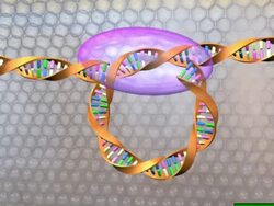 The double-helical configuration that DNA Stock Footage