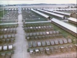 Kolkhoz farmers and animals. Scientists at work. Estonia, 1971 Stock Footage