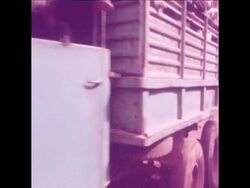 SYND 23 11 78 SCENES OF COMABAT PREPARATIONS ON VIETMAN CAMBODIA BORDER Instructional Video