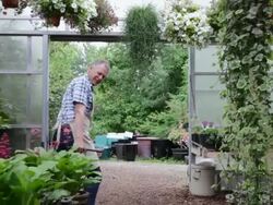Worker pulling cart in plant nursery greenhouse Stock Footage