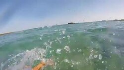 Nature Stock Footage