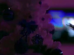 Flashing Christmas Tree Stock Footage