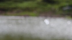 Water reflection bokeh Stock Footage