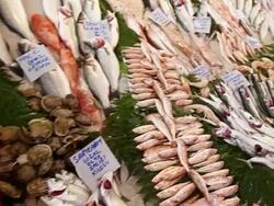 MS PAN Shot of Fish market displays of fish and shellfish / Istanbul, Turkey Stock Footage