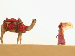 Rajasthani woman standing on desert, Sam Desert, Jaisalmer, Rajasthan, India Stock Footage