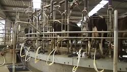 China Buying the Farm in Australia News Clip