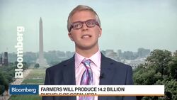Corn, Soybean and Wheat Harvests Exceed Estimates News Clip