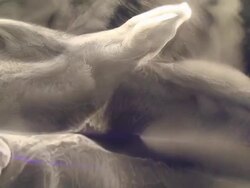 Sublimation Stock Footage