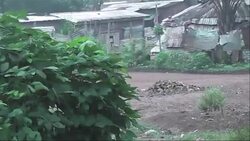 CLEAN : As fear rises in CAR residents continue to News Clip