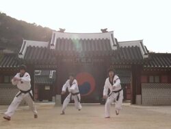  MS Korean Martial arts group performing taekwondo  / Kyungkido, Bucheon, South Korea Stock Footage