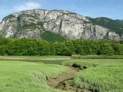 Stawamus Chief Provincial Park Squamish Stock Footage