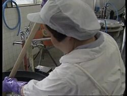 JAPAN: TOKYO: DEADLY BACTERIA OUTBREAK News Clip