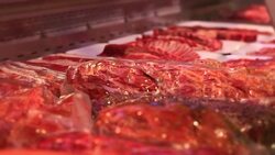 Butcher Shop Stock Footage