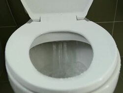 Toilet being Flushed Stock Footage