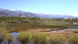 Panorama landscape view in front of Shey Palace in Leh Ladakh, Northern India Stock Footage