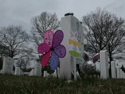Resting Place For Heroes: Arlington National Cemetery Stock Footage