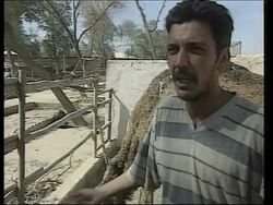 GWT: WRAP Animals in need of food, shelter and veterinary care News Clip