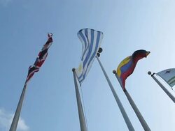International flags waving in the wind Stock Footage