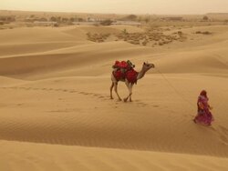 Rajasthani woman walking on desert, Sam Desert, Jaisalmer, Rajasthan, India Stock Footage