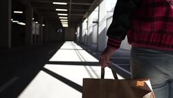 Shoping bags Stock Footage