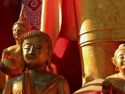 MS PAN Shot of golden Buddhist statues / Luang Prabang, Laos Stock Footage