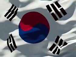 South Korean Flag Stock Footage