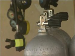 Conservation measures needed for increasing dive sites in Bali News Clip