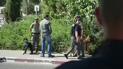 CLEAN : Palestinian teen seriously wounds Israeli in new stabbing News Clip