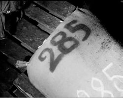 PUT SOME BEEF INTO IT! News Clip