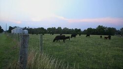 Divided America: Millennial Voters Tough to Peg Instructional Video