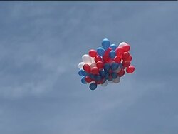 Rally to mark 3-year anniv of Israeli soldier's capture News Clip