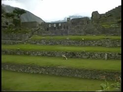 Machu Picchu, pan left  from industrial zone to temple of 3 windows, WA, Peru Stock Footage