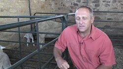 VOICED : Los ganaderos sudafricanos rezan pidiendo lluvia News Clip