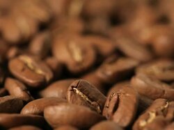 Coffee beans Stock Footage