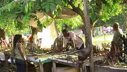 CLEAN : Stock shots of Kinshasa News Clip