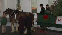 Melania Trump Welcomes WH Christmas Tree Instructional Video