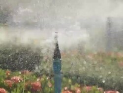 Water sprinkler showering grass Stock Footage