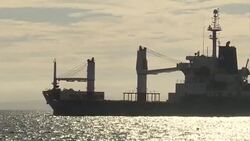 CLEAN : Total solar eclipse darkens skies in Indonesia News Clip