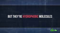 Why Is Fake Blood so Hard to Make? Instructional Video