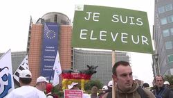 CLEAN : European farmers block Brussels in huge tractor protest News Clip