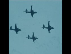 SYND 3 11 75 JAPAN'S PRIME MINISTER TAKEO MIKI AT SDF MILITARY PARADE IN OSAKA Instructional Video