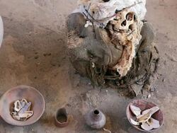 MS Shot of skull and other substance / South Of Peru, Nazca, Peru Stock Footage