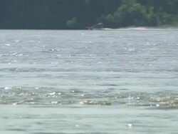 WS Speed boat moving on mississippi river / Memphis, Tennessee, United States Stock Footage