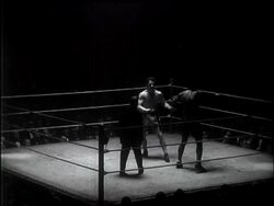 Len Harvey Outpoints Larry Gains in Close-Up Of Big Fight At Albert Hall News Clip