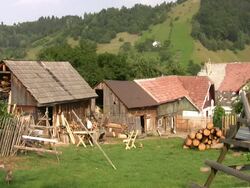 The Backyard Stock Footage