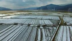 Napa lake scenery,Yunnan,China Stock Footage