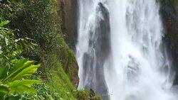 Falling Water from High Cliff Waterfalls Stock Footage